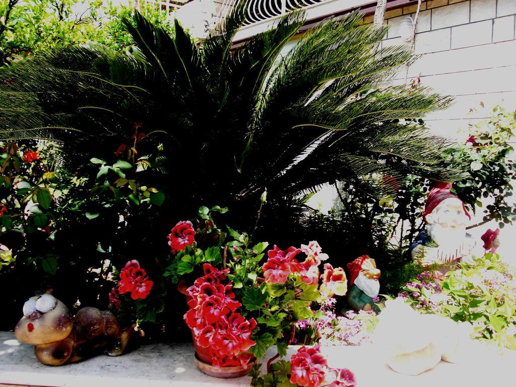 House Jelena Hotel Млини Екстериор снимка