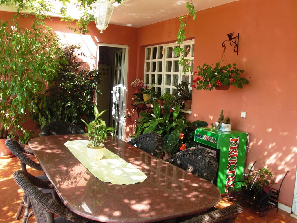 House Jelena Hotel Млини Екстериор снимка