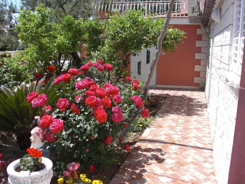House Jelena Hotel Млини Стая снимка